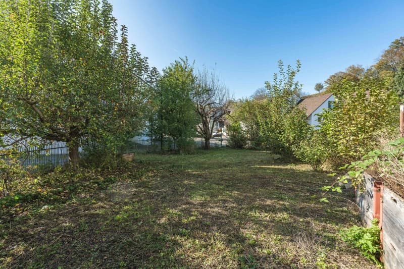 Ein Haus voller Möglichkeiten - 13.06.2026 Tag der offenen Tür in Bennwil (15)