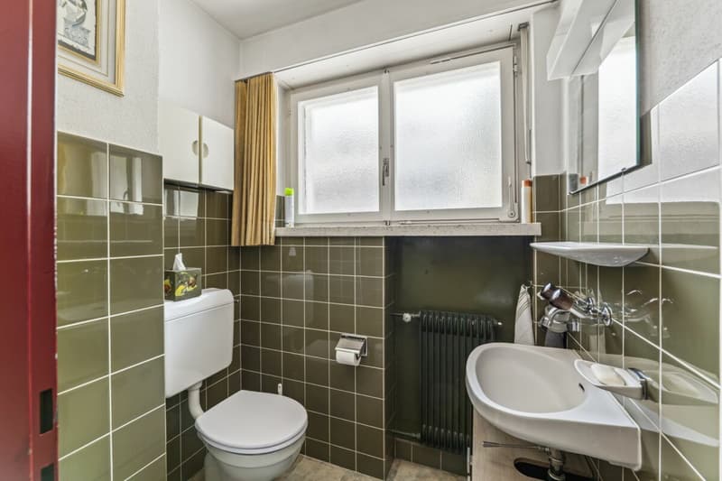 Einfamilienhaus mit Weitblick sucht Familie (10)