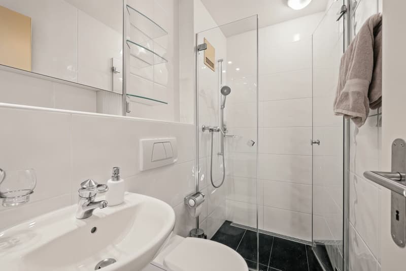 Grosszügiges 6.5-Zimmer Einfamilienhaus mit Pool & Wintergarten (11)
