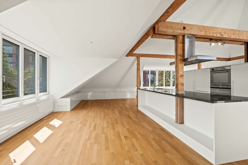 2.5-Zimmer Loftwohnung mit Blick auf Kannenfeldpark (2)