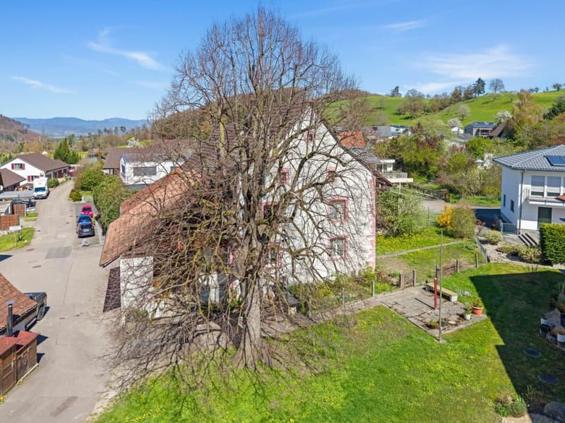 Wohnen im historischen Ursprung von Nusshof (3)