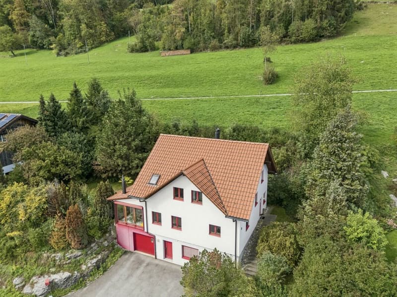 Grosszügiges Haus mit Aussicht über das Rheintal (1)