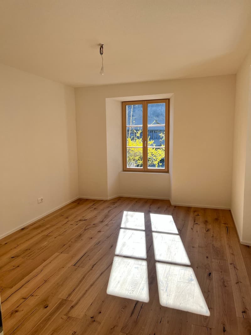 Magnifique Appartement dans une Villa à Moutier (8)
