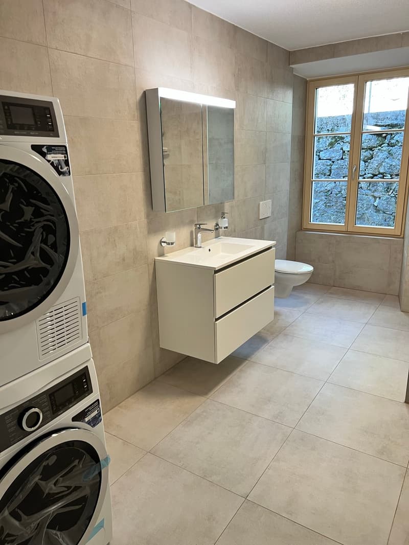 Magnifique Appartement dans une Villa à Moutier (6)