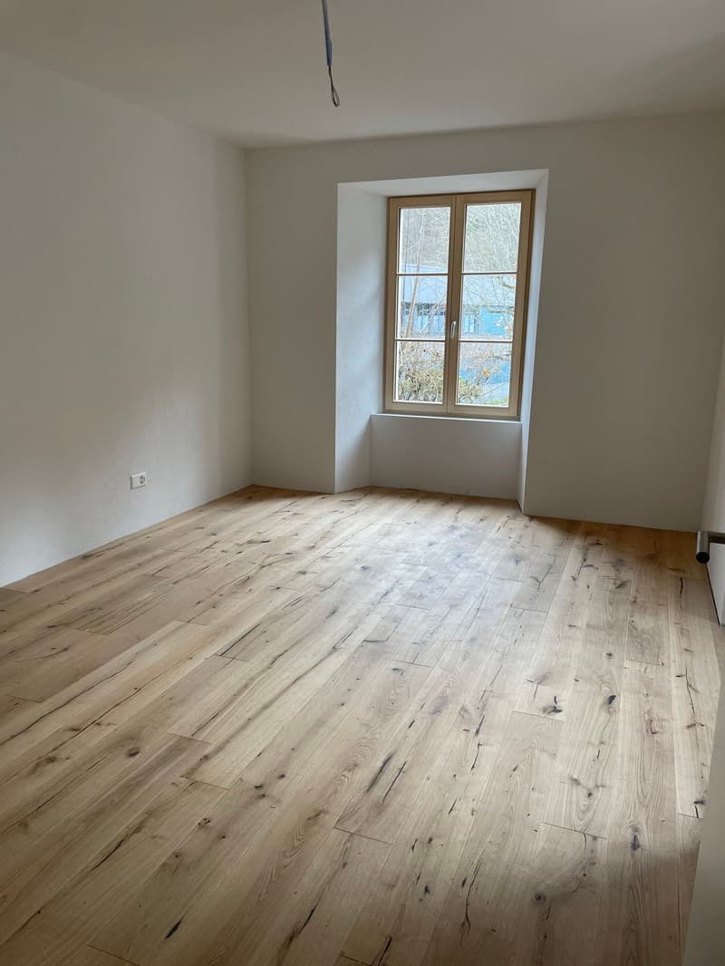 Magnifique Appartement dans une Villa à Moutier (3)