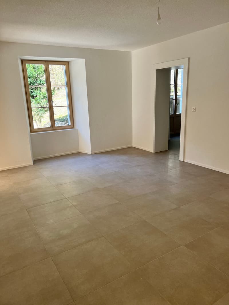Magnifique Appartement dans une Villa à Moutier (2)