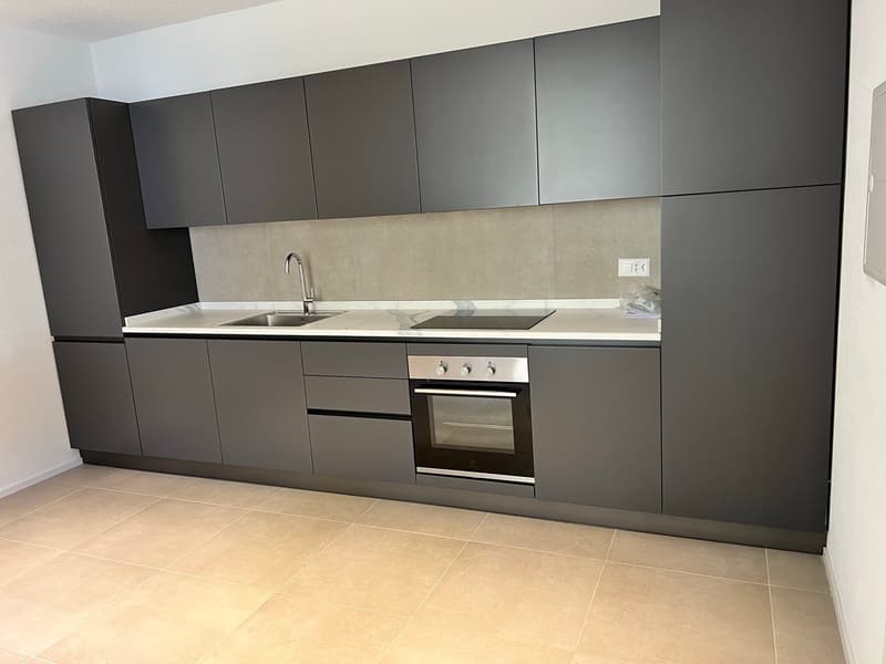 Magnifique Appartement dans une Villa à Moutier (5)