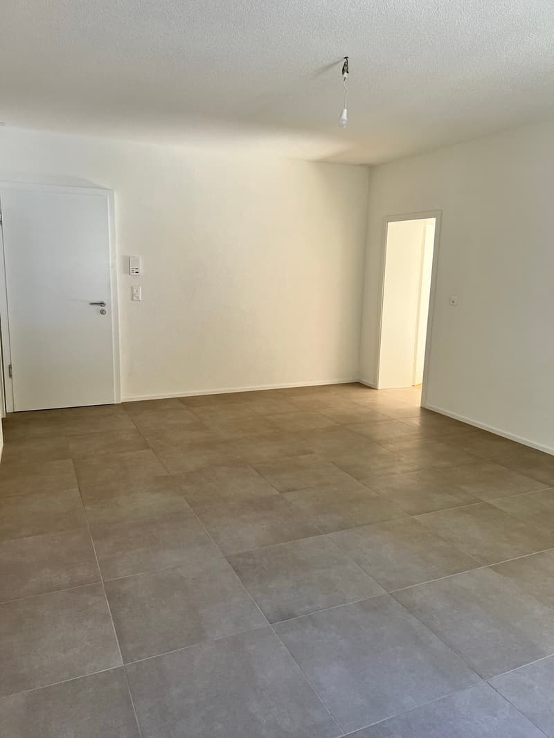 Magnifique Appartement dans une Villa à Moutier (4)