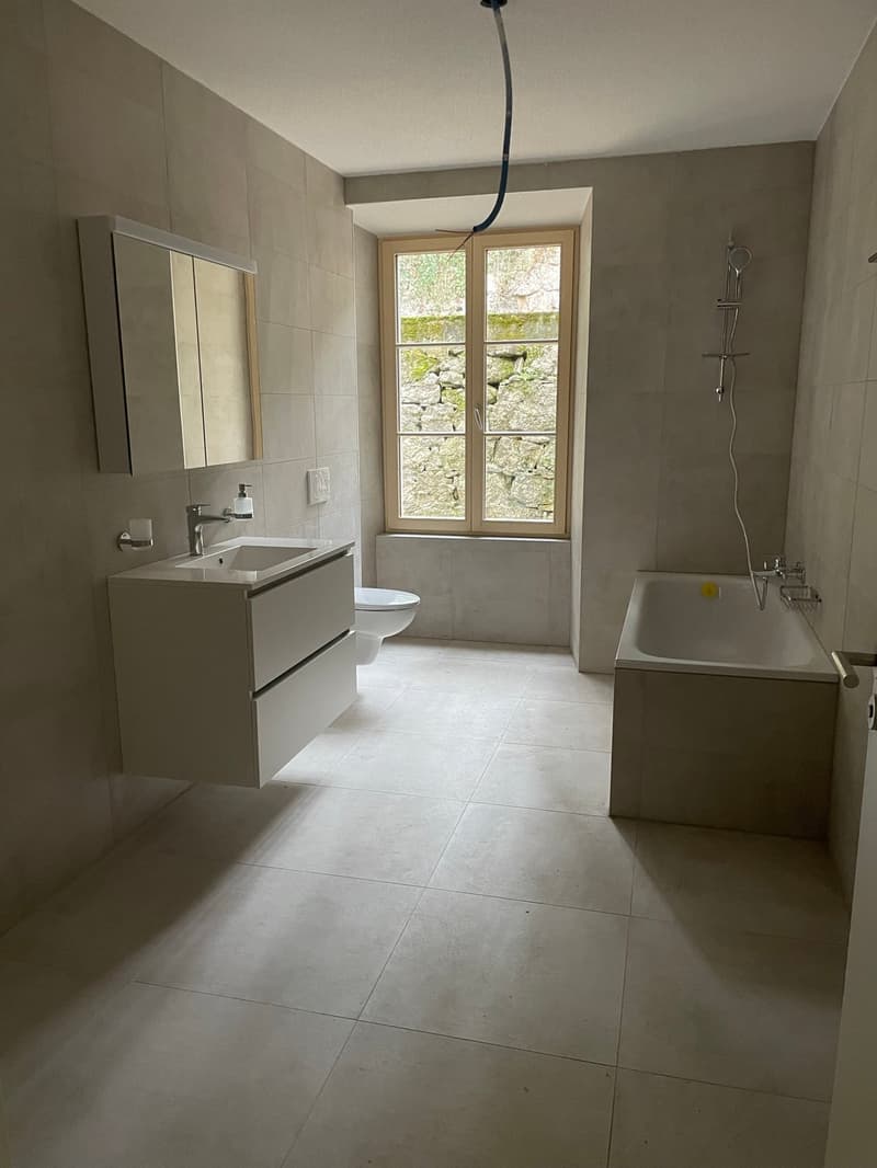 Magnifique Appartement dans une Villa à Moutier (7)