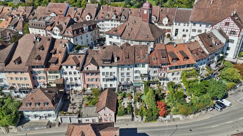 Charme et perspective - appartement-maisonnette unique dans le coeur de Wil SG (35)