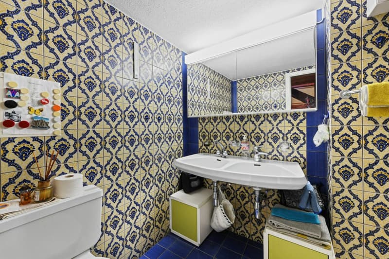 Charme et perspective - appartement-maisonnette unique dans le coeur de Wil SG (17)