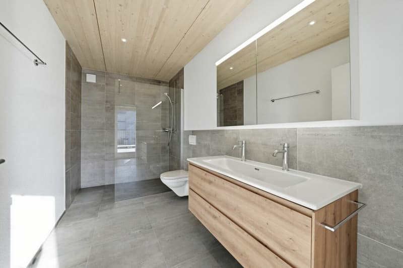 Modern semi-detached house with plenty of space, high-quality finishes, and a garden in Stein am Rhein (13)