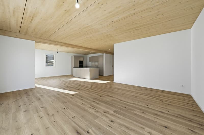 Modern semi-detached house with plenty of space, high-quality finishes, and a garden in Stein am Rhein (30)