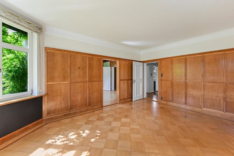 Historische Jugendstilvilla mit Charme, grossem Garten und viel Platz für Ihre Wohnträume (5)