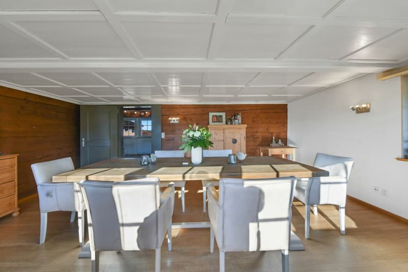 6.5 ZIMMER DOPPELEINFAMILIENHAUS MIT GROSSEM GARTEN UND EINLIEGERWOHNUNG (6)