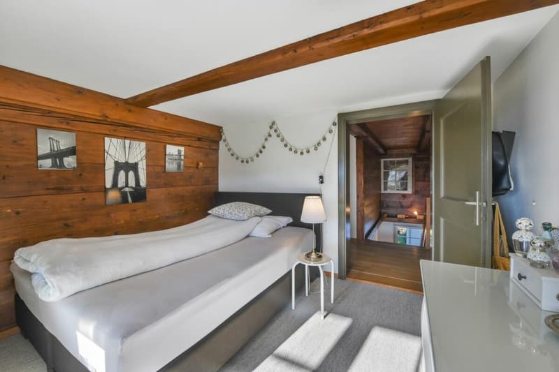 6.5 ZIMMER DOPPELEINFAMILIENHAUS MIT GROSSEM GARTEN UND EINLIEGERWOHNUNG (11)
