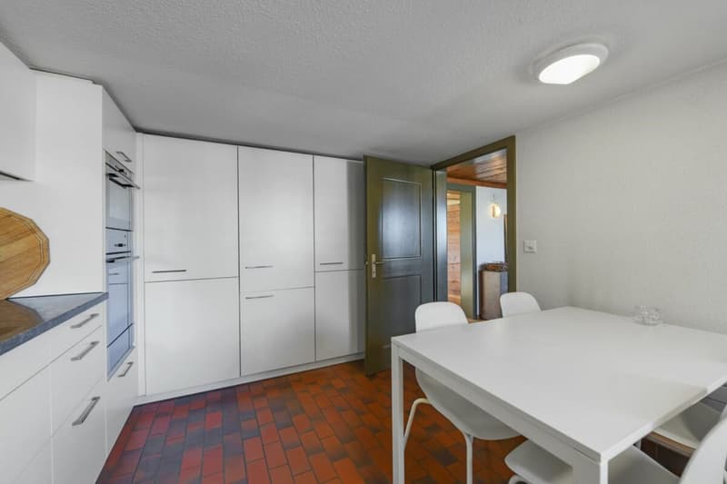 6.5 ZIMMER DOPPELEINFAMILIENHAUS MIT GROSSEM GARTEN UND EINLIEGERWOHNUNG (10)
