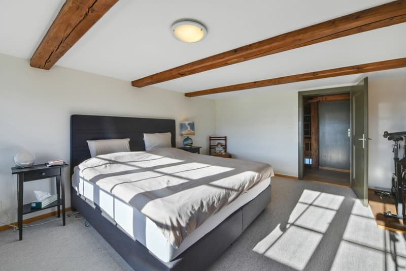 6.5 ZIMMER DOPPELEINFAMILIENHAUS MIT GROSSEM GARTEN UND EINLIEGERWOHNUNG (16)