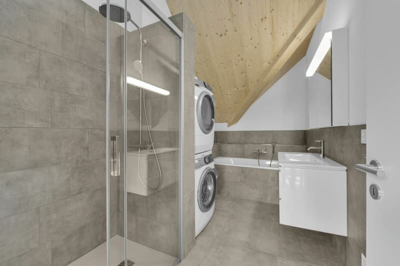2.5-Zimmer hochwertige Dachwohnung, Erstbezug (4)