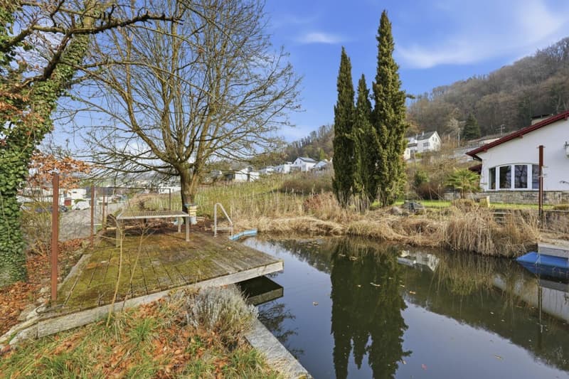 Einzigartiges Anwesen mit Naturpool, Weinberg und Spa-Oase in traumhafter Lage von Klingnau (48)