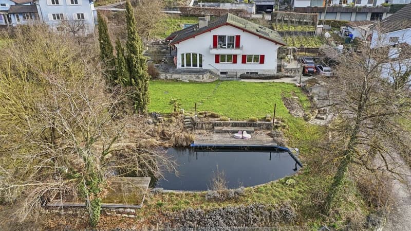 Einzigartiges Anwesen mit Naturpool, Weinberg und Spa-Oase in traumhafter Lage von Klingnau (1)