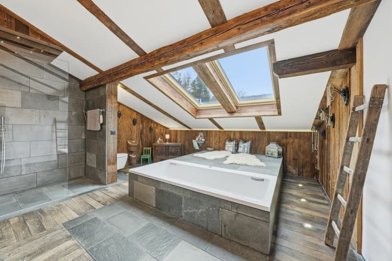 Einzigartiges Anwesen mit Naturpool, Weinberg und Spa-Oase in traumhafter Lage von Klingnau (25)