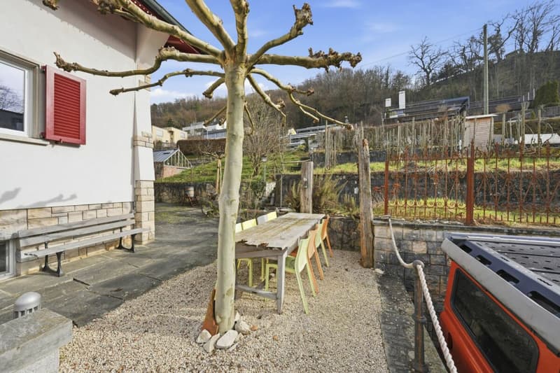 Einzigartiges Anwesen mit Naturpool, Weinberg und Spa-Oase in traumhafter Lage von Klingnau (53)