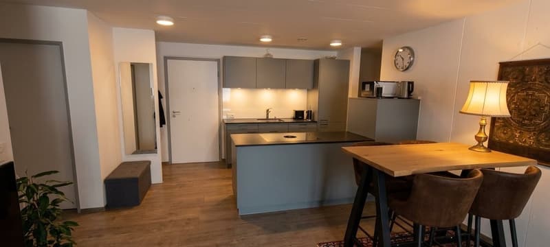 Moderne 2.5-Zimmer-Wohnung im 1. OG in Oberriet (1)