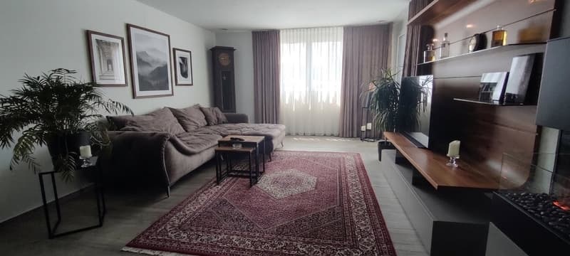 Moderne 2.5-Zimmer-Wohnung im 1. OG in Oberriet (2)