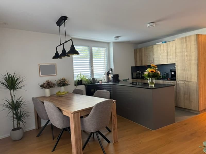 Moderne 3.5 Zimmer Wohnung (2)