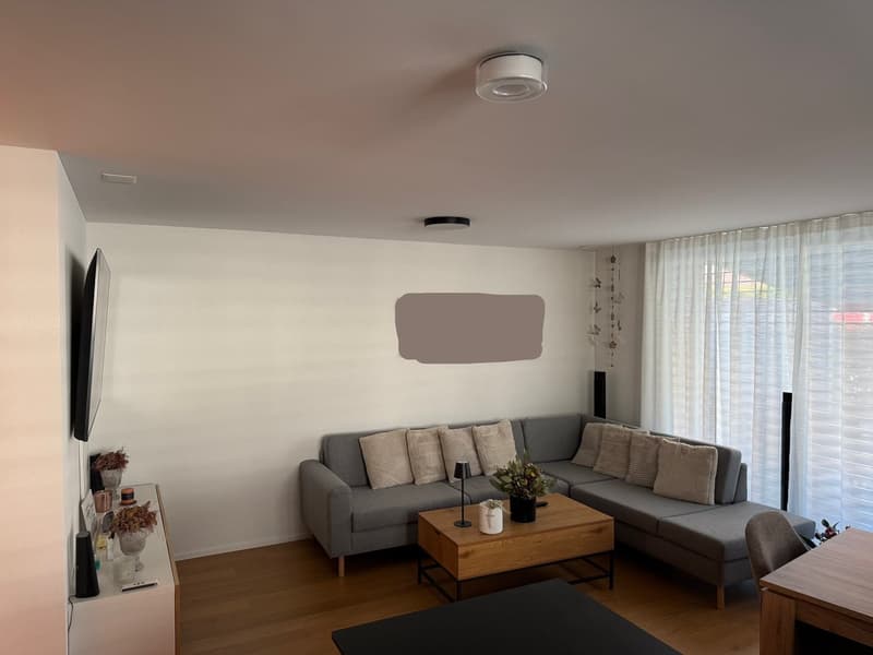 Moderne 3.5 Zimmer Wohnung (7)