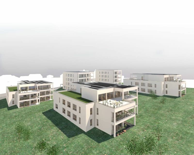 A vendre appartements en PPE (1)