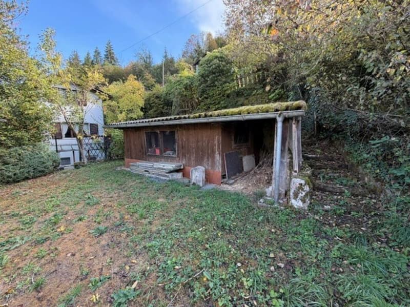 Chalet (3)