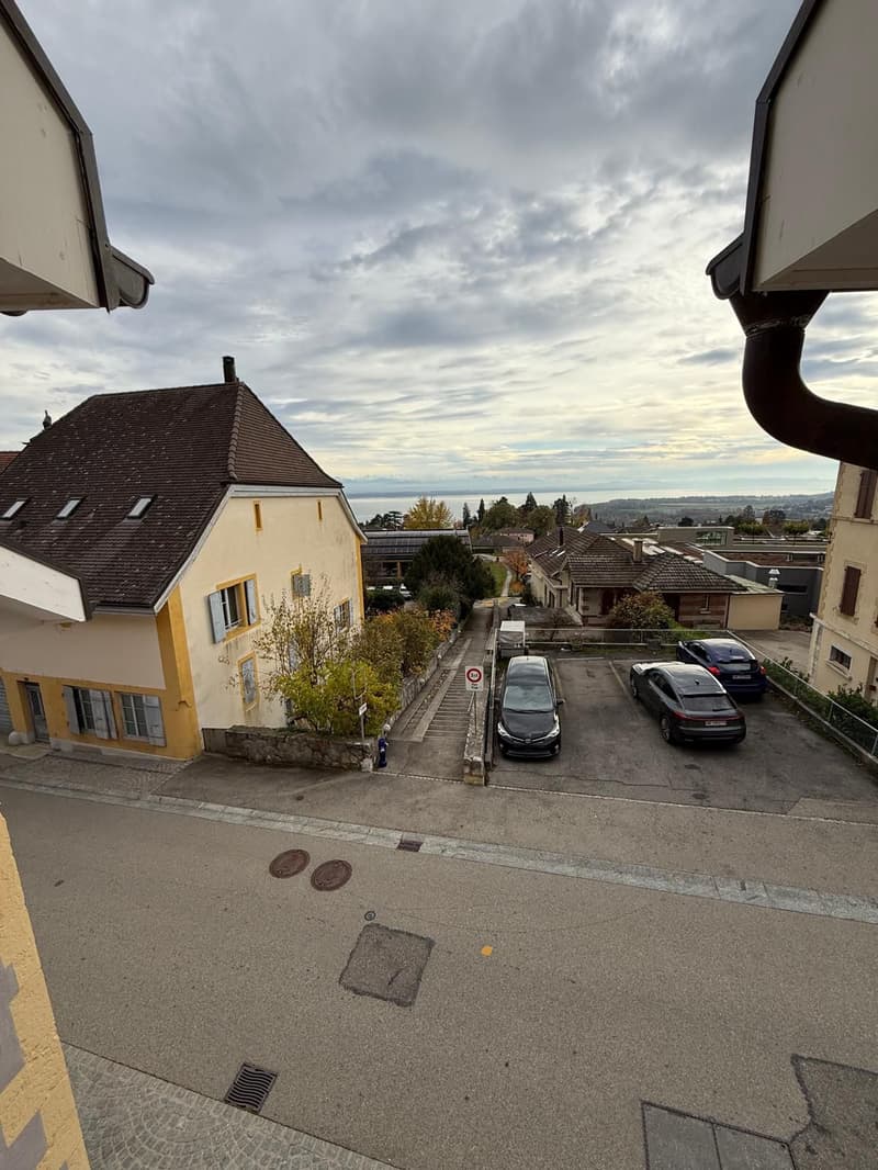 Appartement de 3.5 pièces avec vue sur le lac (2)