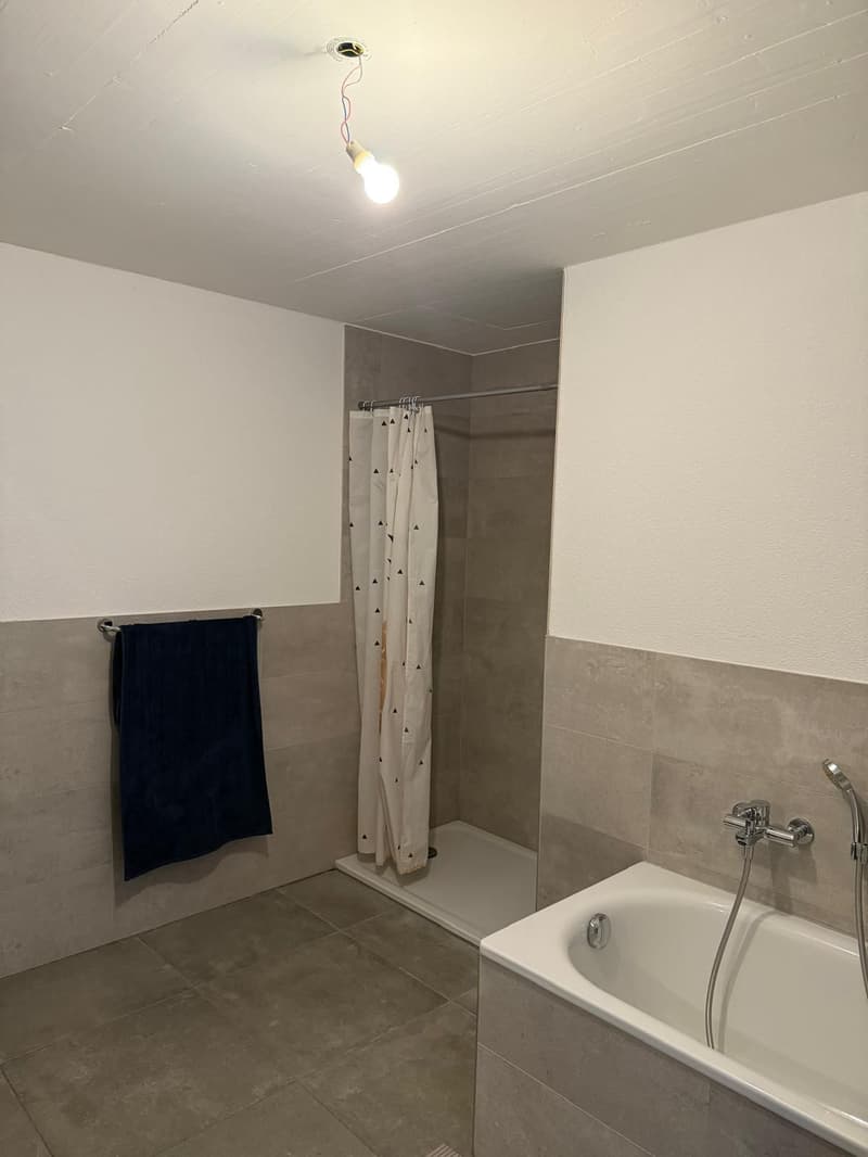 Appartement de 3.5 pièces avec vue sur le lac (7)
