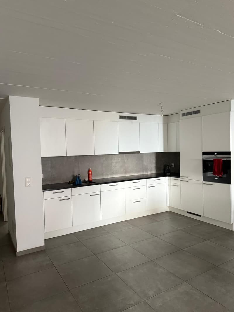 Appartement de 3.5 pièces avec vue sur le lac (3)