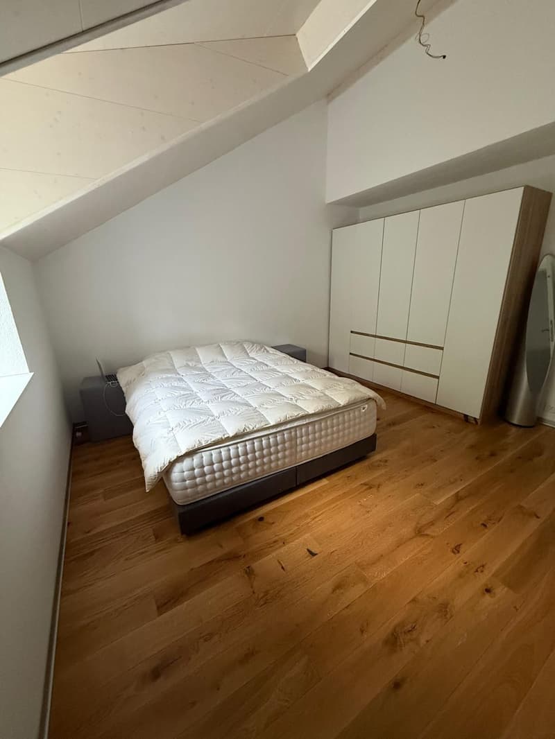 Appartement de 3.5 pièces avec vue sur le lac (9)
