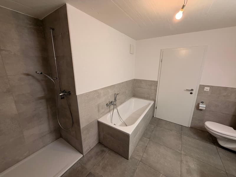 Appartement de 3.5 pièces avec vue sur le lac (8)