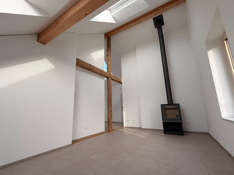 Magnifique appartement de 4 pièces neuf à Châtillon (4)