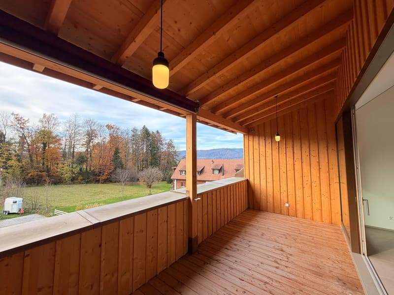 Magnifique appartement de 3.5 pièces neuf à Châtillon (3)