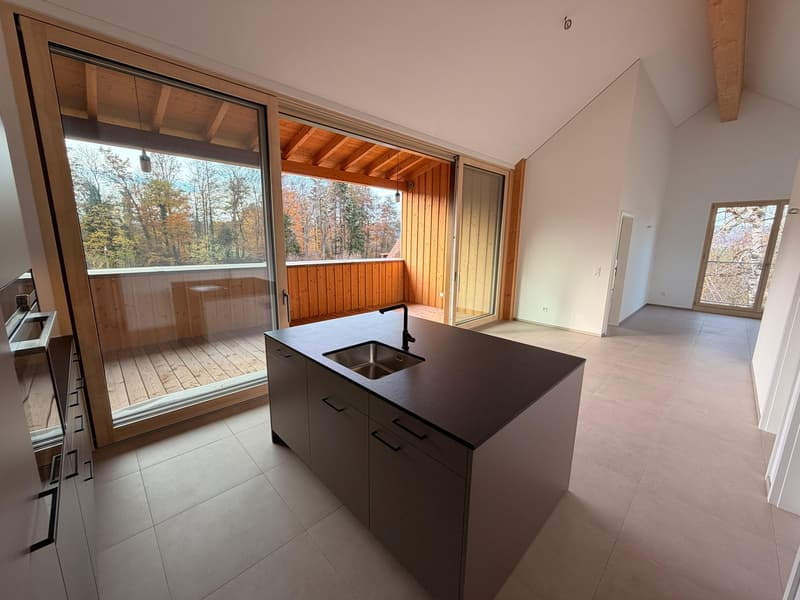 Magnifique appartement de 3.5 pièces neuf à Châtillon (1)