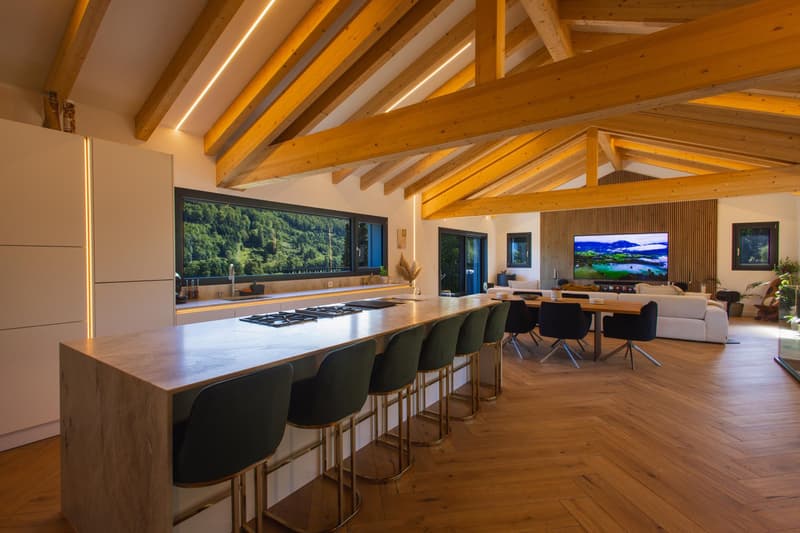 Villa contemporaine de 200 m² - 10 min de Bienne, vue dégagée et finitions haut de gamme (1)
