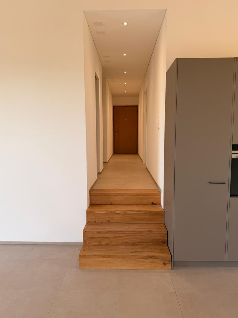 Magnifique appartement de 4,5 pièces neuf à Châtillon (3)