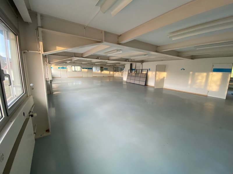 Large empty room, with high ceiling, fluorescent lighting, a large window on the left, an open door, a door with a glass panel, a white panel on the wall in the distance.