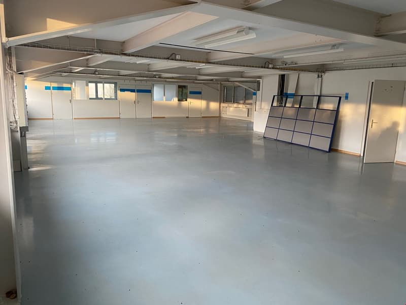 spacious room, white walls, high ceiling, windows, grey floor, doors