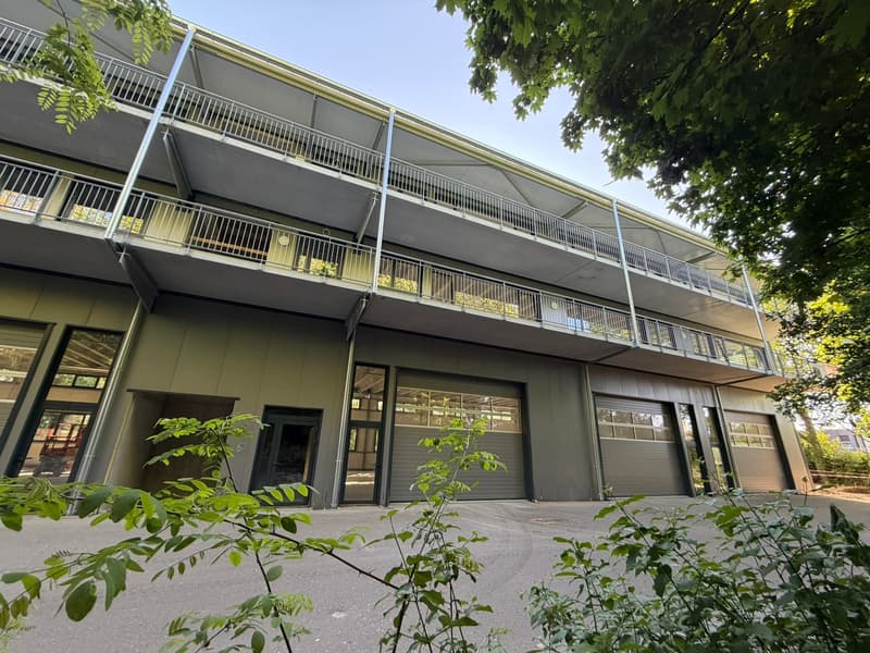 Espace industriel au Landeron - Neuchâtel - RDC - Grande porte (12)