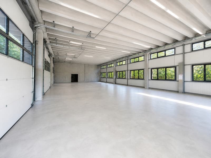 Espace industriel au Landeron - Neuchâtel - RDC - Grande porte (5)