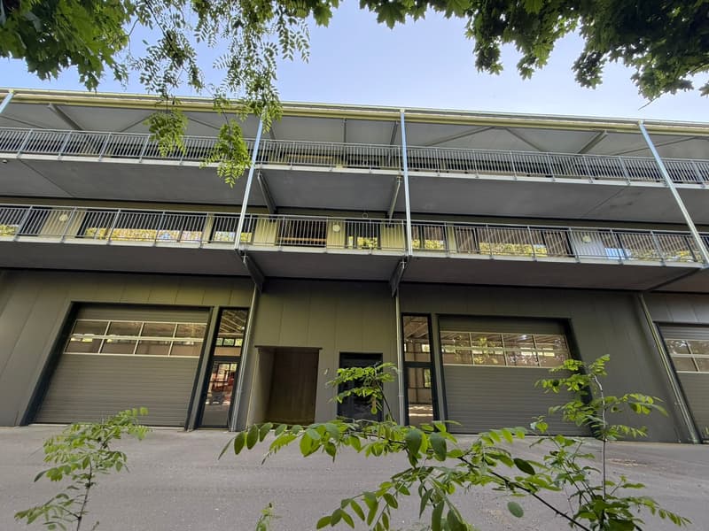 Espace industriel au Landeron - Neuchâtel - RDC - Grande porte (11)