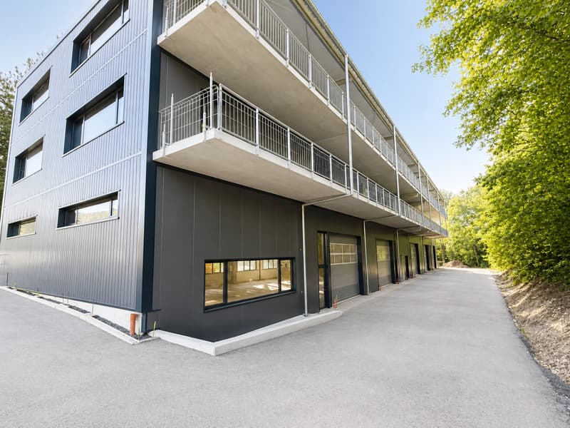 Espace industriel au Landeron - Neuchâtel - RDC - Grande porte (3)