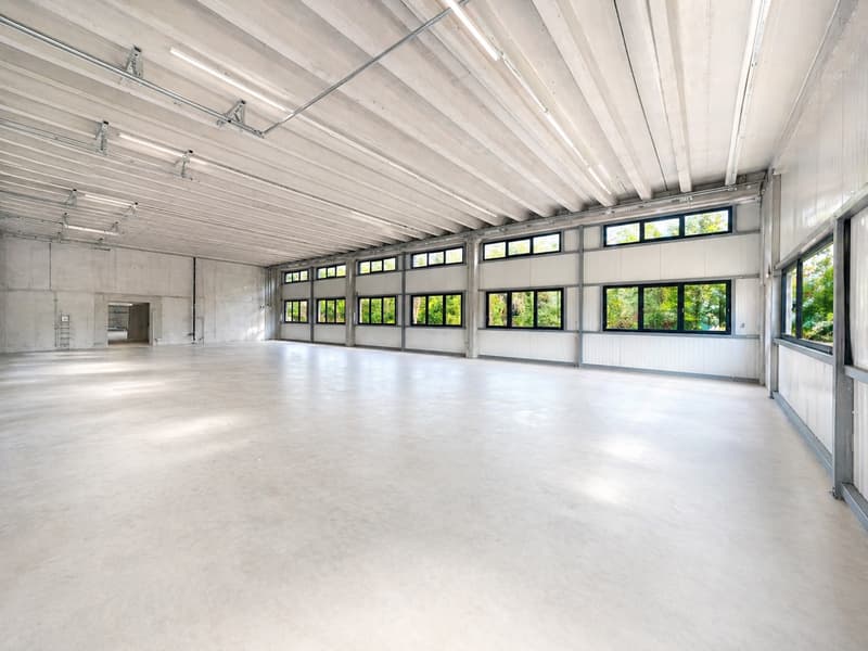 Espace industriel au Landeron - Neuchâtel - RDC - Grande porte (8)